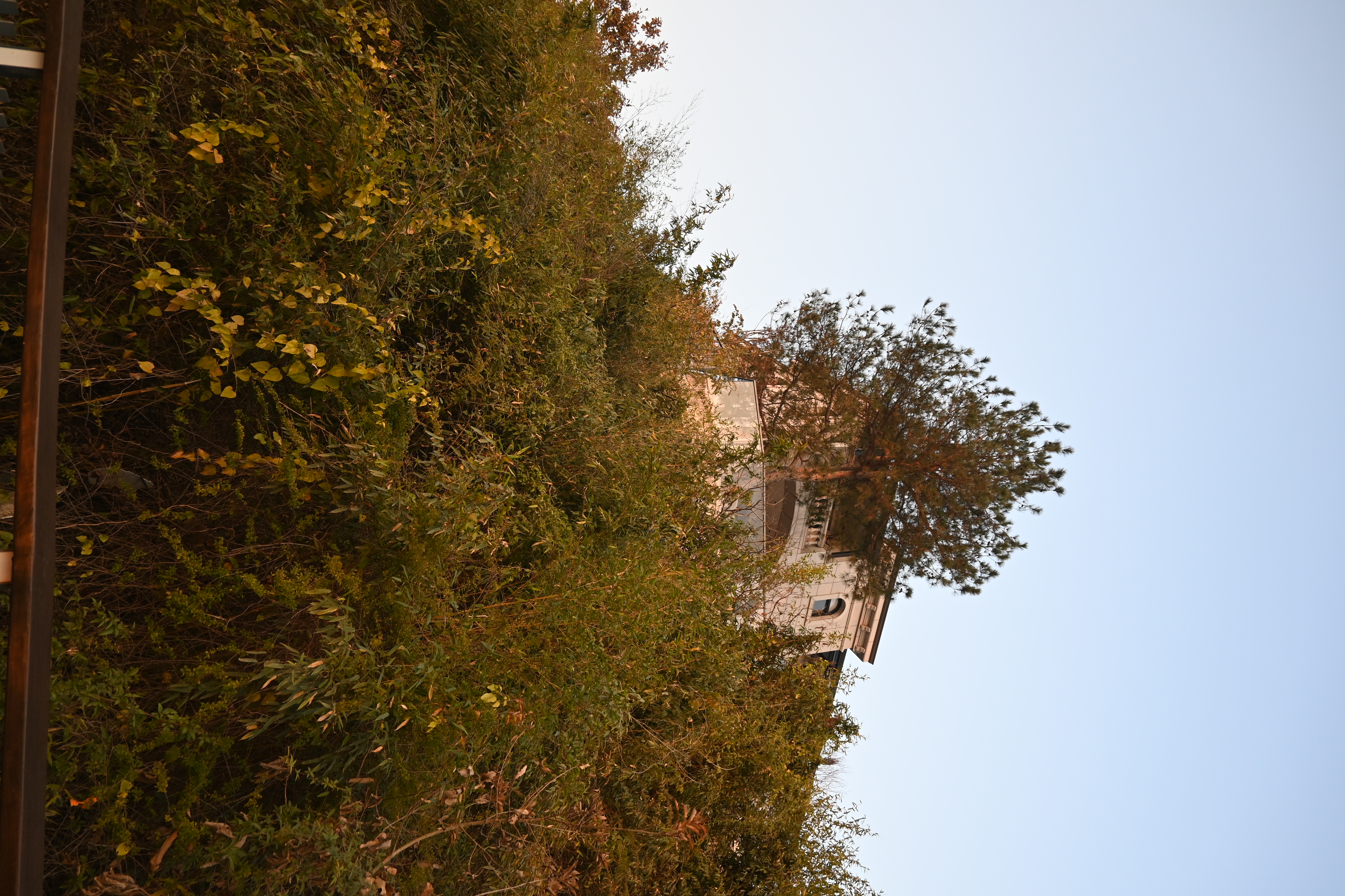 DSC_0841