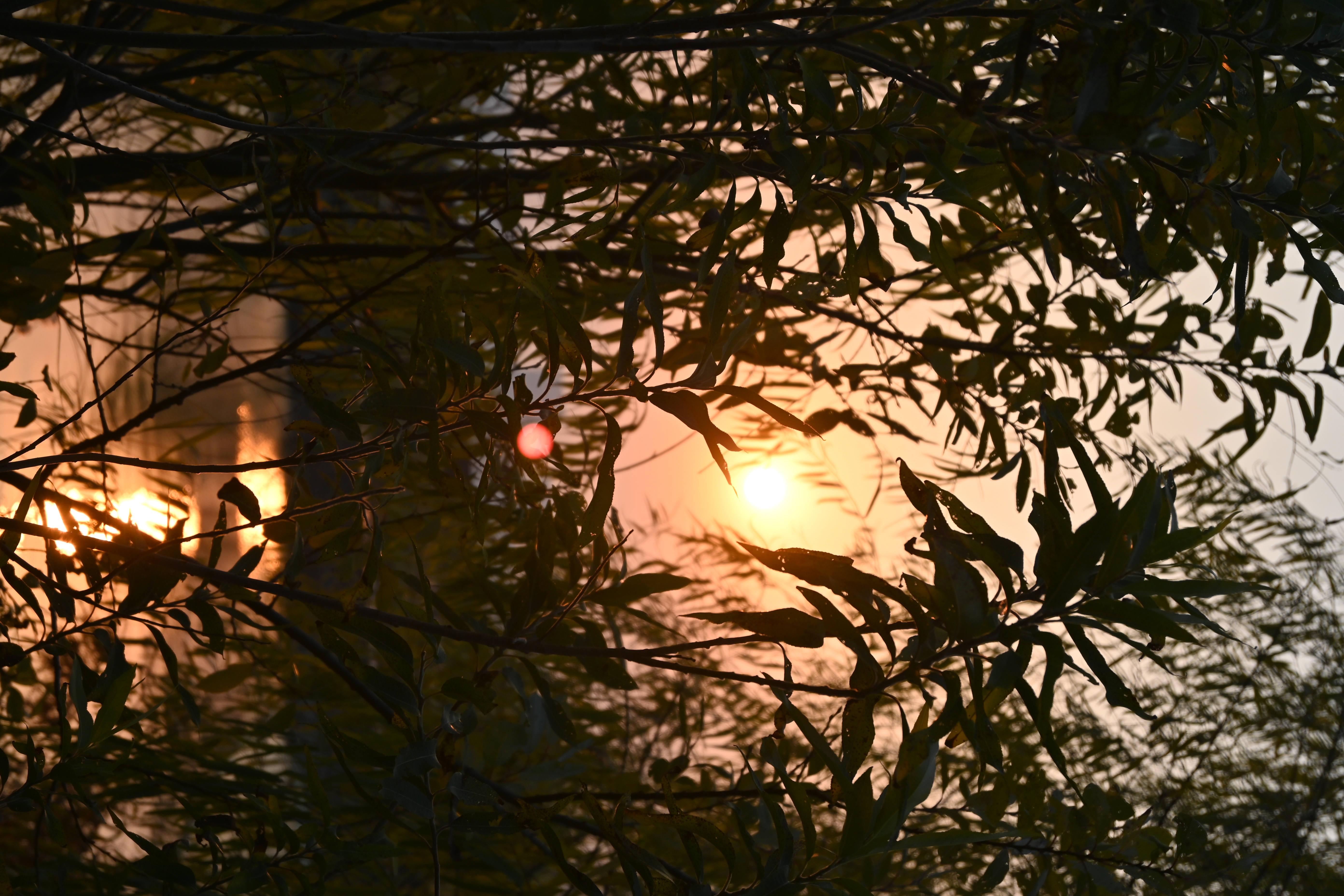 DSC_0837