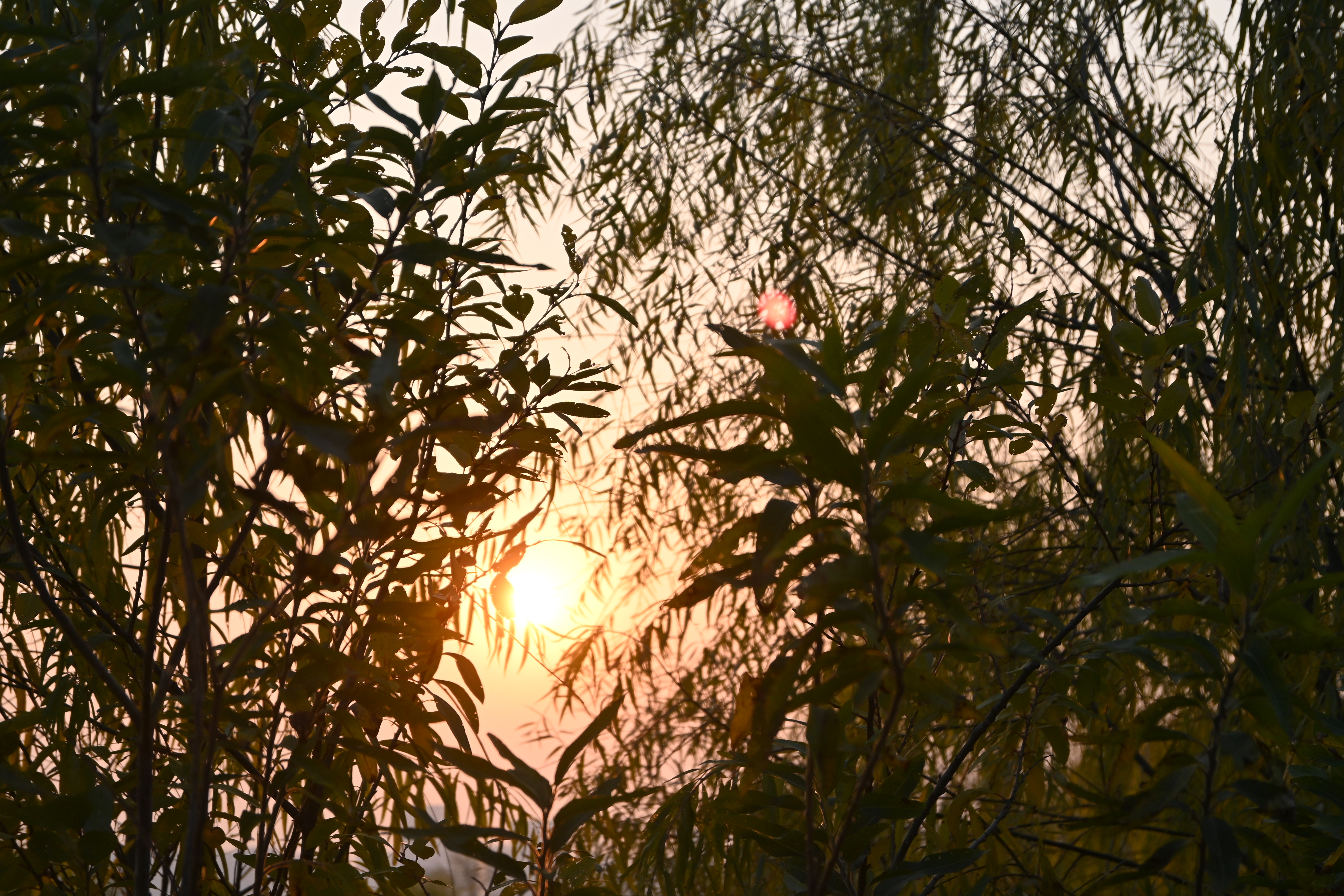 DSC_0835